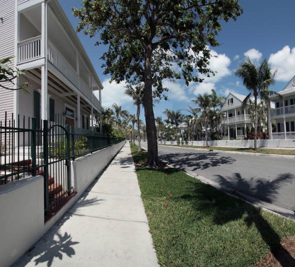White homes and palm trees along a residential street